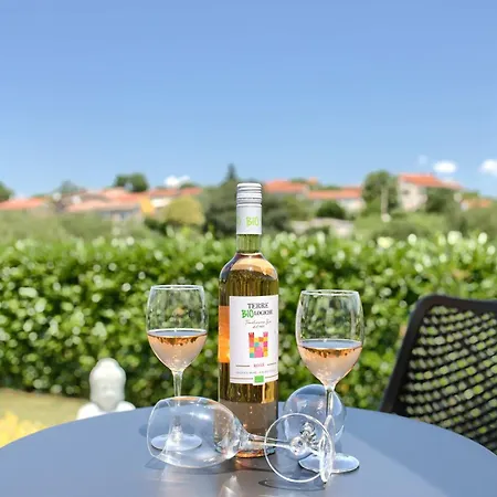 Willa Stellina - Charming With Private Pool Near Porec Vranje Selo